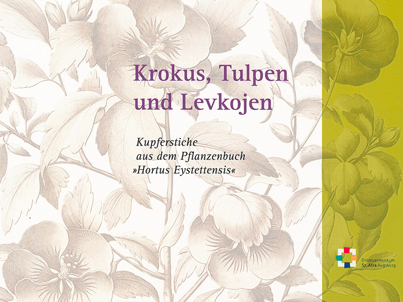 Krokus, Tulpen und Levkojen - Kupferstiche aus dem Pflanzenbuch 